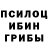 Псилоцибиновые грибы Psilocybine cubensis Iliana Aguilar