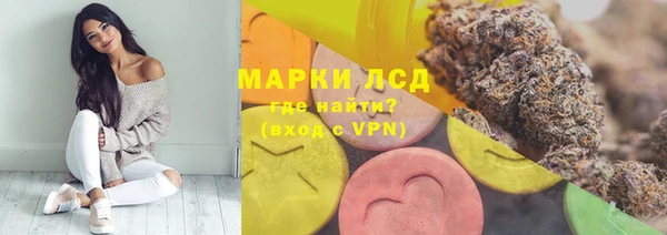 ГАЛЛЮЦИНОГЕННЫЕ ГРИБЫ Покачи