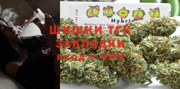 молекула духа Алексин