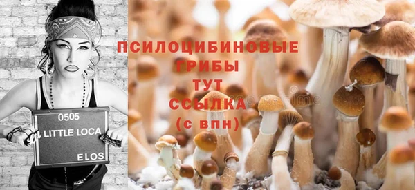 эйфоретик Алексеевка