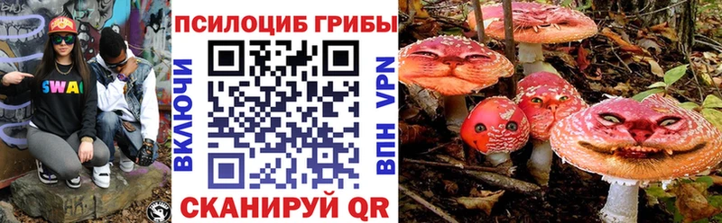 shop официальный сайт Белебей Псилоцибиновые грибы Magic Shrooms купить закладку